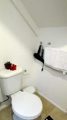 Standard Çatı Katı (Loft), 1 Yatak Odası, Mutfak (Cabin 2)