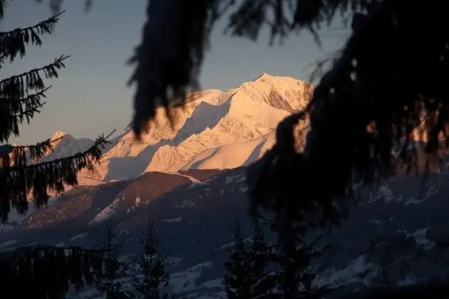 Ağaç Ev (Mont-blanc)