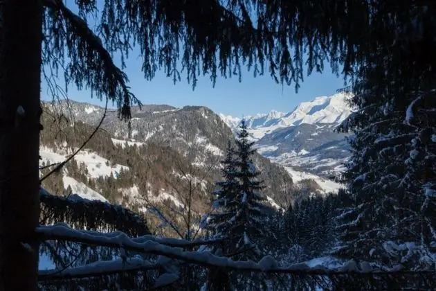 Ağaç Ev (Mont-blanc)