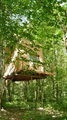 Comfort Kulübe, 1 Yatak Odası