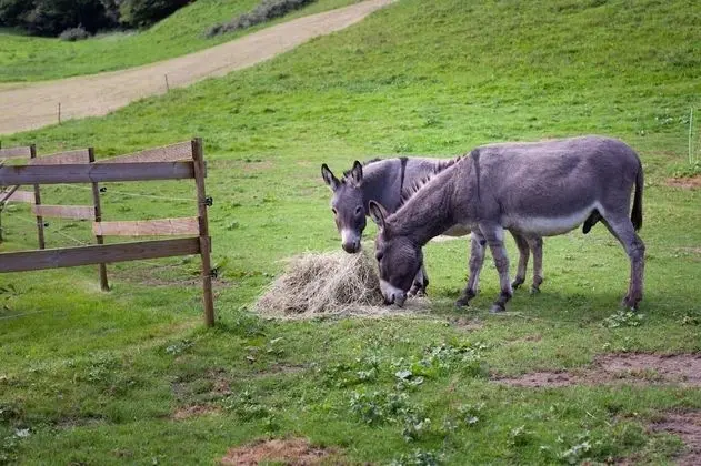 Dağ Evi, Banyolu/Duşlu, Dağ Manzaralı
