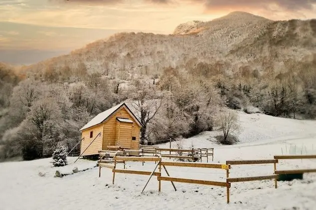 Kulübe, Banyolu/Duşlu, Dağ Manzaralı