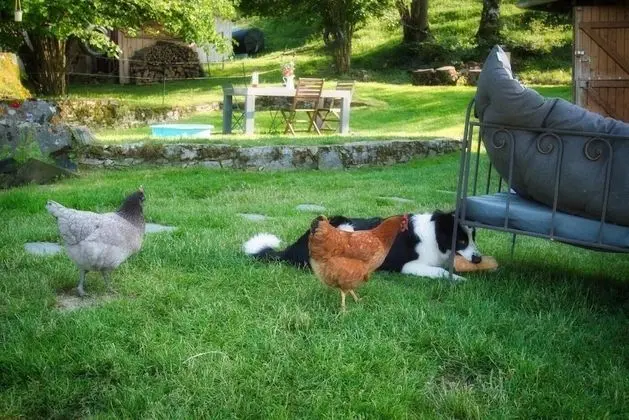 Kulübe, Banyolu/Duşlu, Dağ Manzaralı