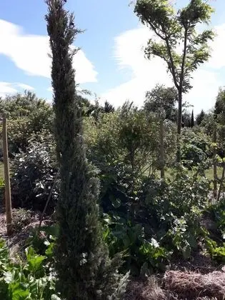 Romantic Kulübe, Sıcak Su Havuzu (Cabane du Potager)