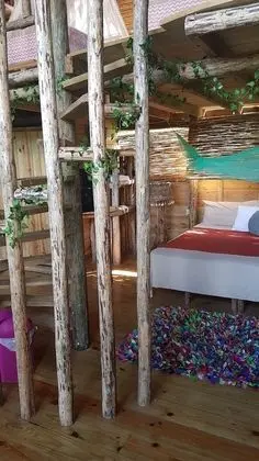 Superior Çatı Katı Süiti (Penthouse)