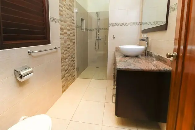 Standard Çatı Katı Süiti (Penthouse)