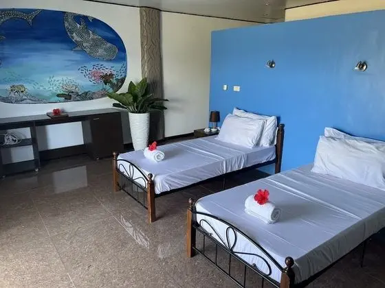 Deluxe Tek Büyük veya İki Ayrı Yataklı Oda
