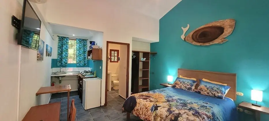 Deluxe Studio Suite