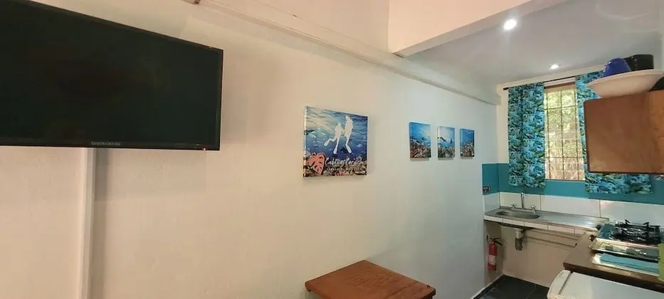 Deluxe Studio Suite