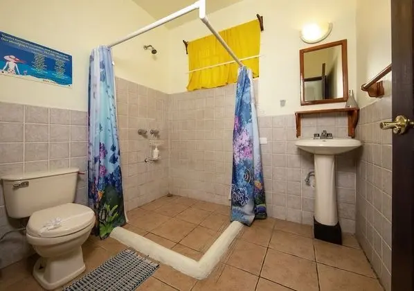 Standard Tek Büyük Yataklı Oda, Özel Banyo