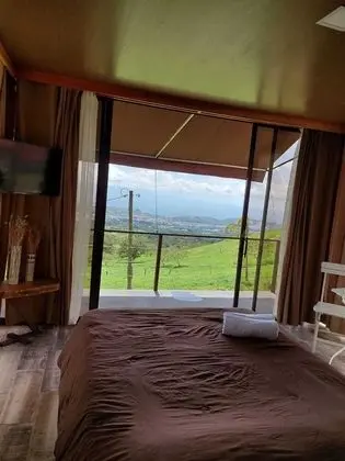 Standard Oda, 1 Yatak Odası, Balkon, Şehir Manzaralı