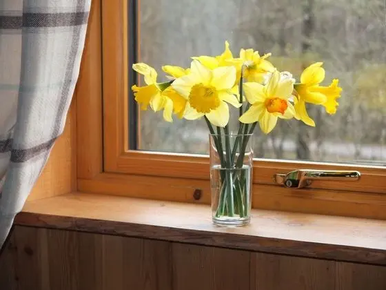 Kulübe, 2 Yatak Odası (Oak Cabin)