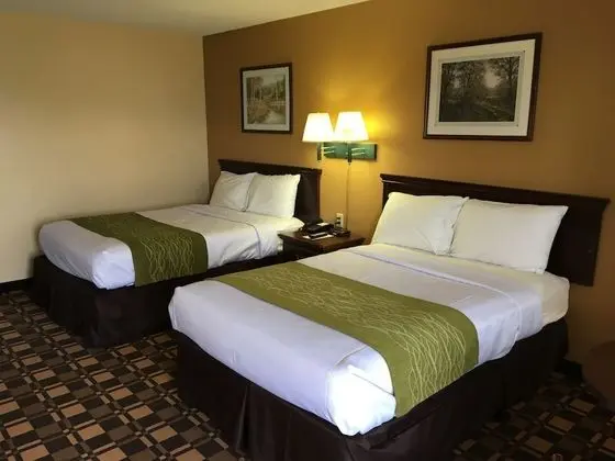 Room, 2 Double Beds Exterior Building Across the Street, No Elevator