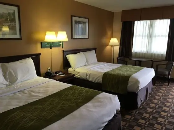 Room, 2 Double Beds Exterior Building Across the Street, No Elevator