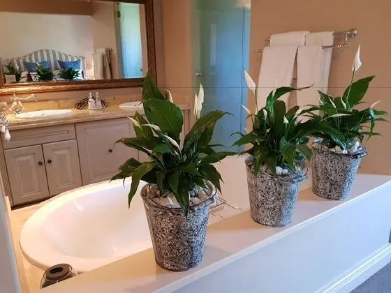 Luxury Villa, Dağ Manzaralı