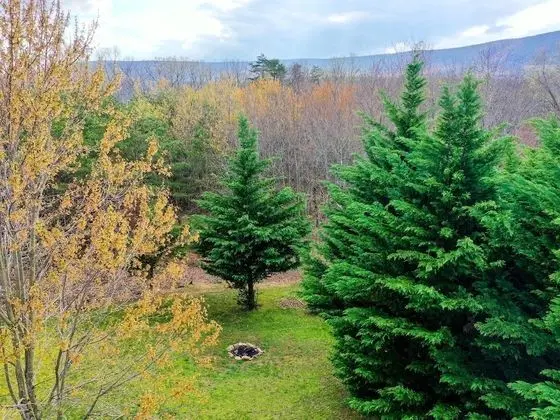 Ev, Birden Çok Yatak (Cacapon Connected - Workplace Retreat)