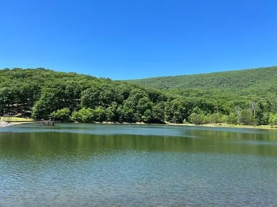 Ev, Birden Çok Yatak (Cacapon Connected - Workplace Retreat)