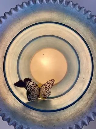 Ev, 1 Yatak Odası, Buzdolabı