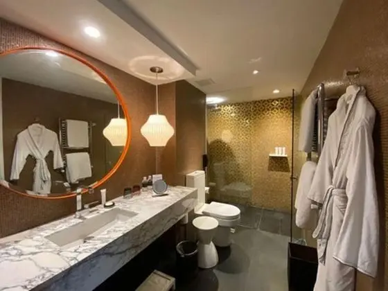 Çatı Katı Süiti (Penthouse) (Posh)