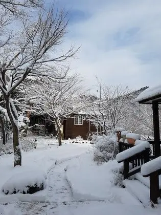 Oda (Eorumchi)