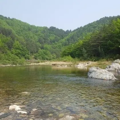 Oda (Lenok)
