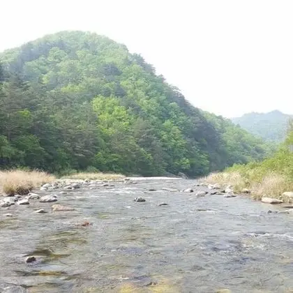Oda (Lenok)