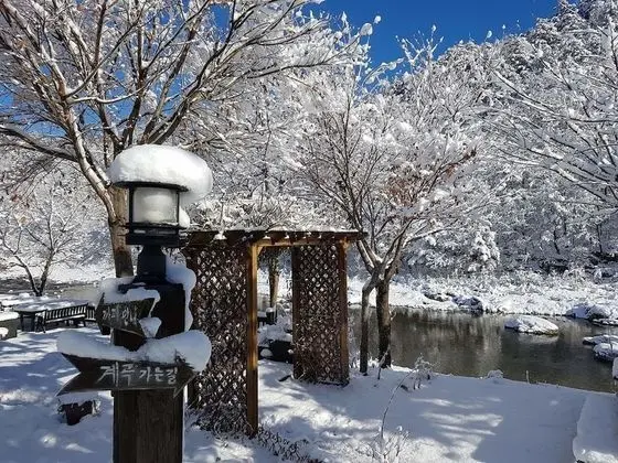 Oda (Lenok)