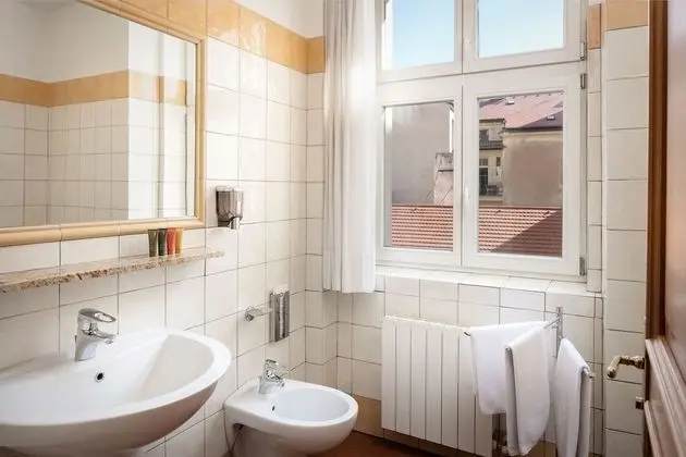 Superior Tek Büyük veya İki Ayrı Yataklı Oda (Antique)