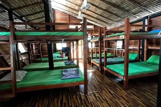 1 Bed in 6 Bunk Bed Mixed Dormitory