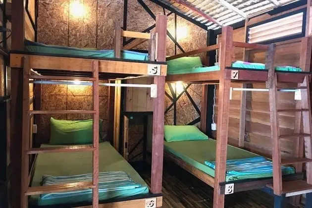 1 Bed in 6 Bunk Bed Mixed Dormitory