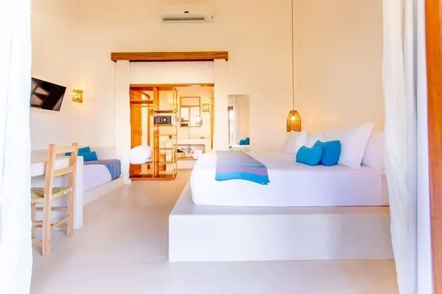 Superior Oda, 1 En Büyük (King) Boy Yatak, Bahçe Manzaralı