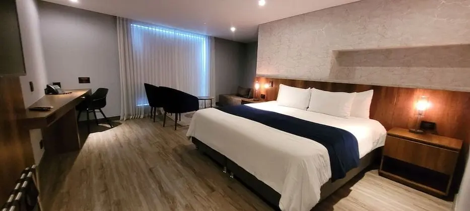 Deluxe Tek Kişilik Oda, 1 En Büyük (King) Boy Yatak