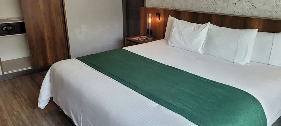 Deluxe Tek Kişilik Oda