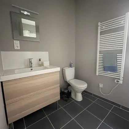Comfort Tek Büyük Yataklı Oda, Özel Banyo, Avlu Manzaralı (Côté Cour)