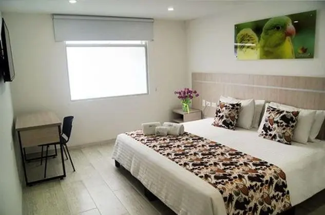 Standard Tek Büyük Yataklı Oda