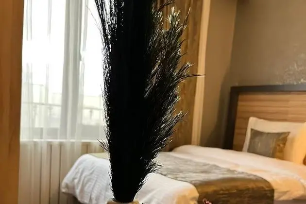 Standard Double Oda