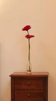 Standard Tek Kişilik Oda (French Bed)