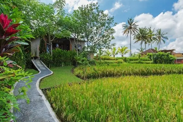 Family Villa, Birden Çok Yatak