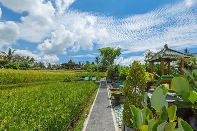 Family Villa, Birden Çok Yatak