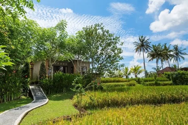 Family Villa, Birden Çok Yatak