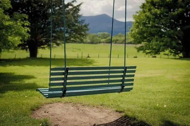 Superior Tek Büyük Yataklı Oda, 1 En Büyük (King) Boy Yatak, Park Manzaralı
