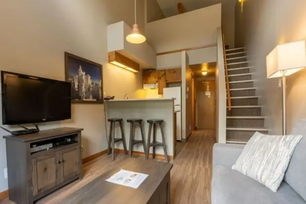 Lofted Studio Bunk