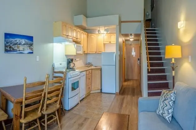 Lofted Studio Bunk