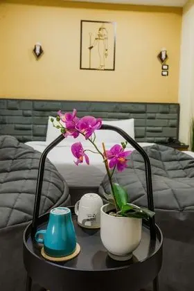 Tek Büyük Yataklı Oda