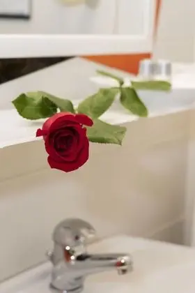 Classic Tek Büyük Yataklı Oda, 1 Büyük (Queen) Boy Yatak