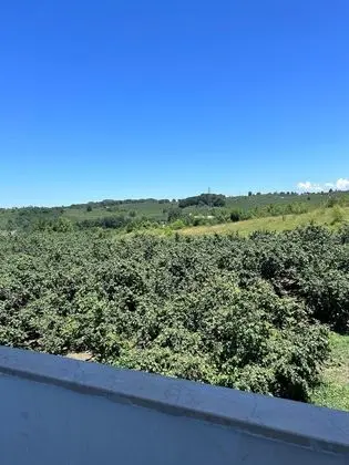 Stüdyo, 2 Tek Kişilik Yatak
