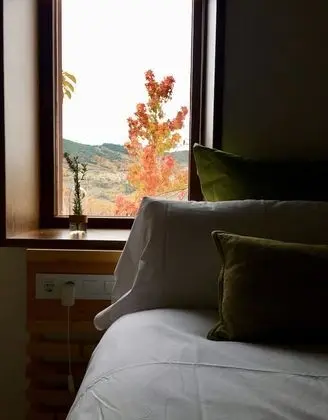 Tek Büyük Yataklı Oda, Özel Banyo, Dağ Manzaralı