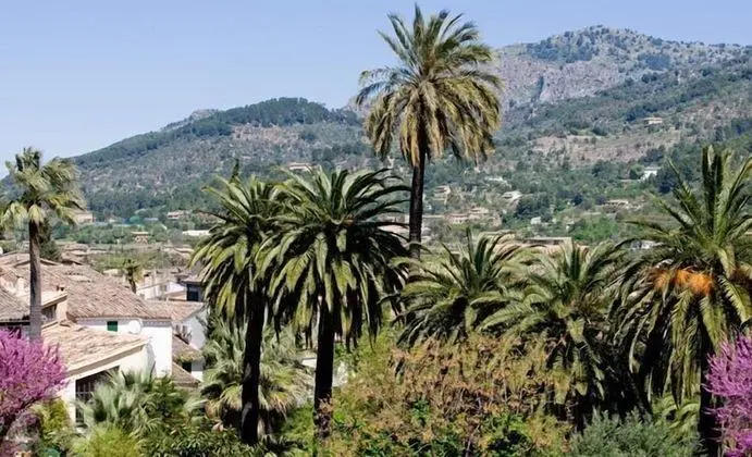 Panoramic Tek Büyük Yataklı Oda, 1 En Büyük (King) Boy Yatak, Havuz Manzaralı