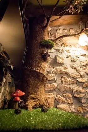 Design Oda, 1 Yatak Odası, Dağ Manzaralı