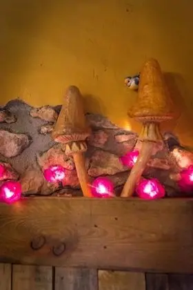 Tek Büyük Yataklı Oda, Üzüm Asması Manzaralı